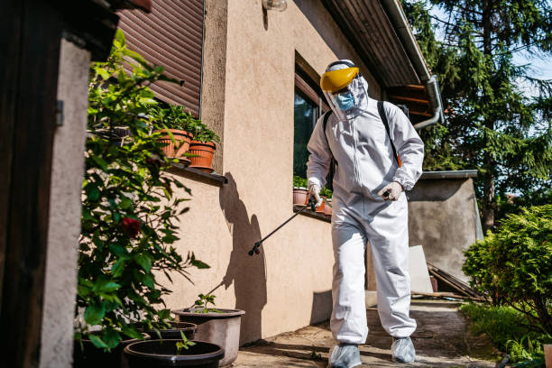 Best Rat Extermination Near Me  in Turley, OK