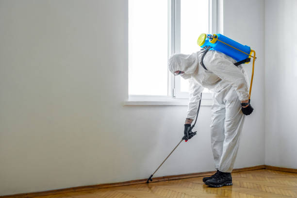 Best Pest Removal Services  in Turley, OK