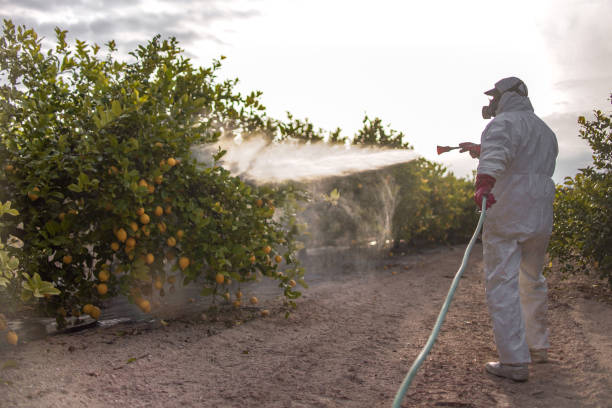 Best Pest Control Near Me  in Turley, OK