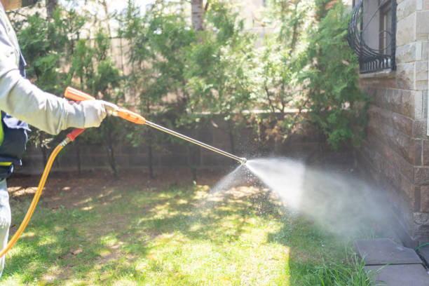 Best Ant Control Services  in Turley, OK