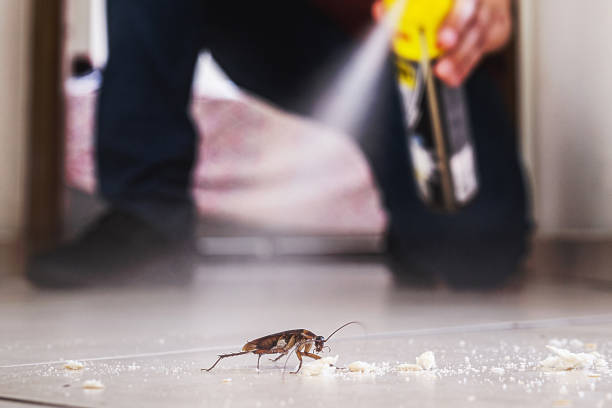 Best Affordable Pest Control Services  in Turley, OK