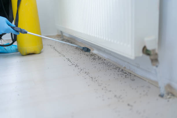 Best Emergency Pest Control  in Turley, OK