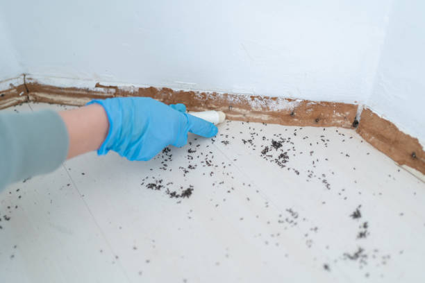 Best Pest Inspection Near Me  in Turley, OK