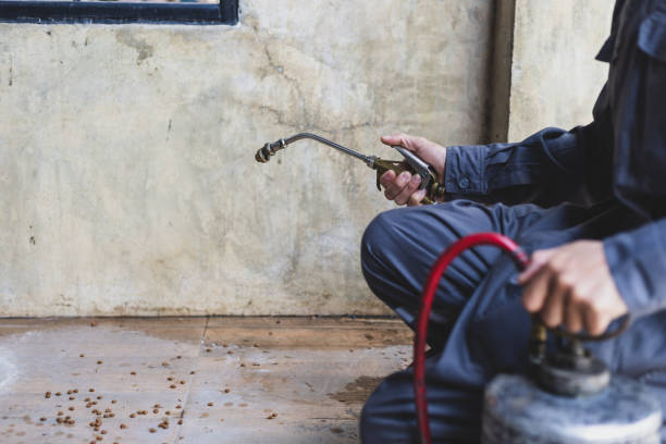 Reliable Turley, OK Pest Control Solutions